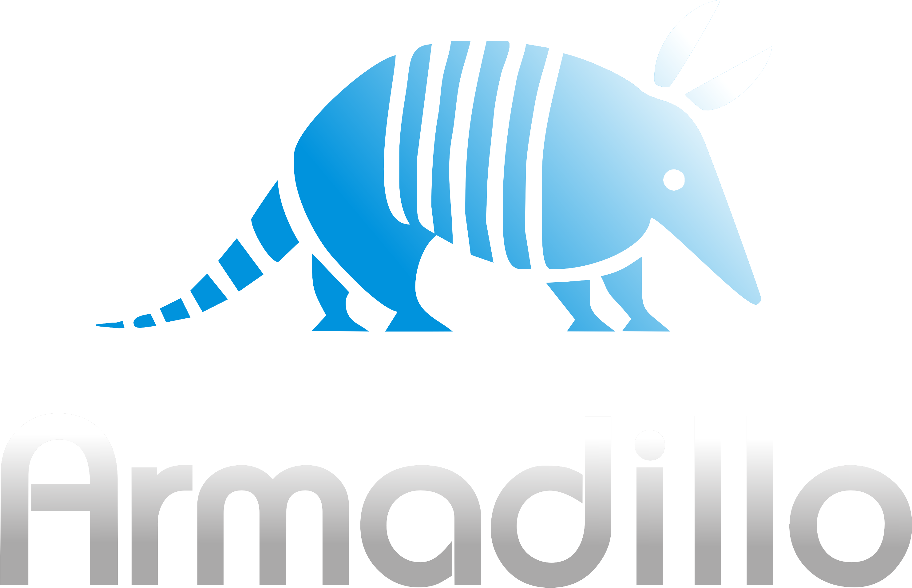 Studio armadillo